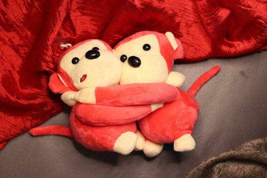 Couple Monkey Teddy