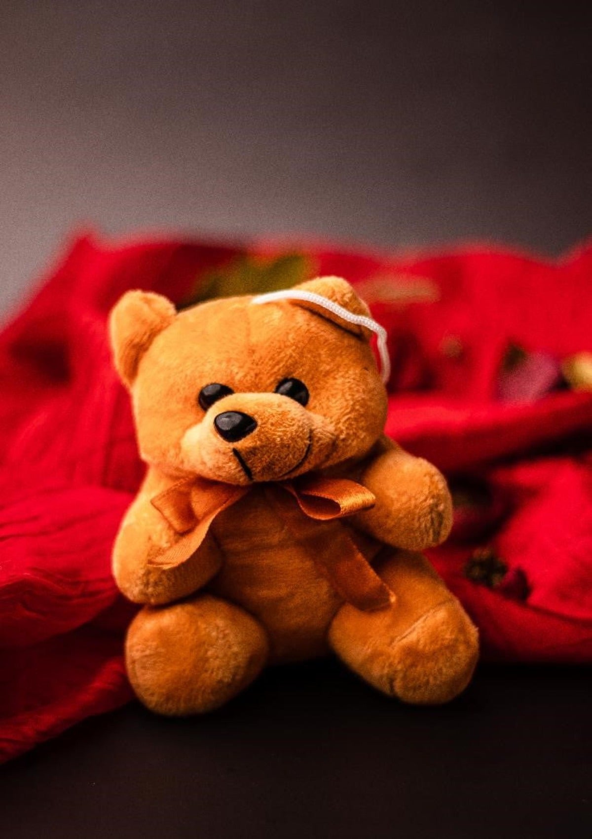 Red Teddy Bear