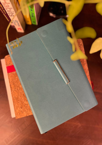 Blue Flap Diary